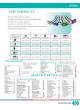 Amvex Catalog