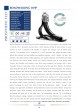 CATALOG 2021 RRF оптом