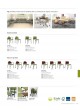 Catalogue
