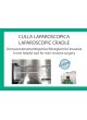 General Catalogue 2020 оптом