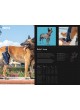 KVP European 2021 Catalogue оптом