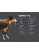 KVP European 2021 Catalogue оптом