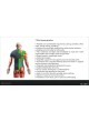 Postural correction t-shirt оптом