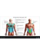 Postural correction t-shirt оптом