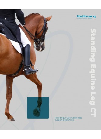 Standing Equine Leg CT Sales Brochure оптом