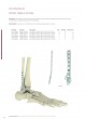 Trauma Plates&Screws Catalog оптом