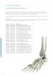 Trauma Plates&Screws Catalog оптом