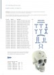 Trauma Plates&Screws Catalog оптом