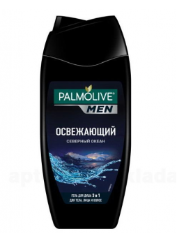 Palmolive men гель д/душа 3в1 Освежающий северный океан 250 мл N 1