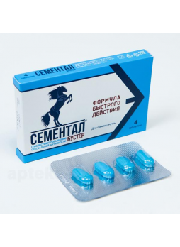 Сементал бустер тб N 4