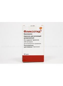 Фликсотид аэроз 60доз 250мкг/доза N 1