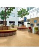 Напольное покрытие из линолеума marmoleum splash оптом