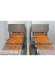 Счетчик для фармацевтической промышленности FTC24 оптом
