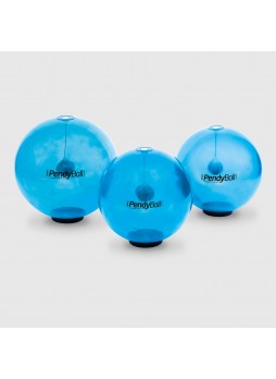 Мяч для пилатеса большого размера Ledragomma Original Pezzi® PendyBall