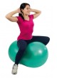 Мяч в форме арахиса большого размера Physio Roll Plus оптом