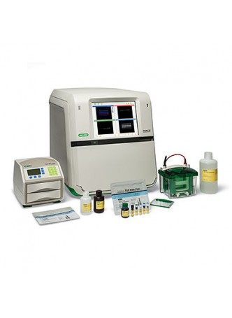 Хемолюминесцентная cистема документации на геле ChemiDoc™ MP, ChemiDoc™ XRS+ оптом