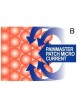 Подушечка для электростимуляции Painmaster MCT patch