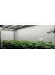 Климатическая камера культуры ткани FitoClima PL, PLH оптом