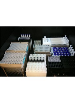 Лабораторная рабочая станция для PCR LabTurbo 24 AIO SP-qPCR