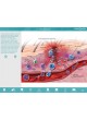Анатомическое приложение iOS Anatomy & Function оптом