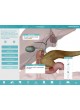 Анатомическое приложение iOS Anatomy & Function оптом