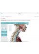 Анатомическое приложение iOS Anatomy & Function оптом