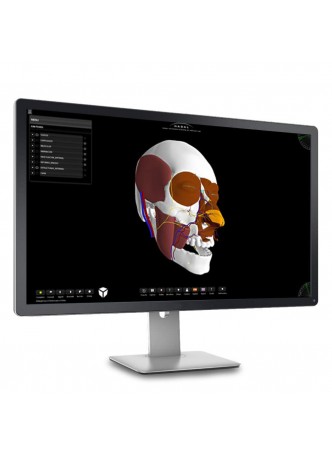 Анатомическое программное обеспечение 3D Nasal Vista 2.0 Basic оптом