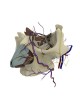 Анатомическое программное обеспечение 3D Nasal Vista 2.0 Basic оптом