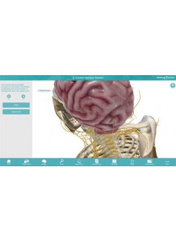 Анатомическое программное обеспечение Anatomy & Function