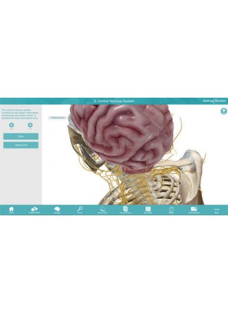 Анатомическое программное обеспечение Anatomy & Function