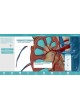 Анатомическое программное обеспечение Anatomy & Function