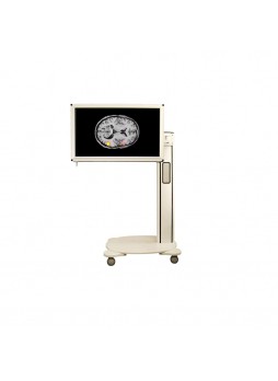 Монитор для медицинских снимков BOLDscreen