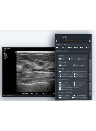 Программное обеспечение для эхографии BR-FHUS FreeHand ABUS system оптом