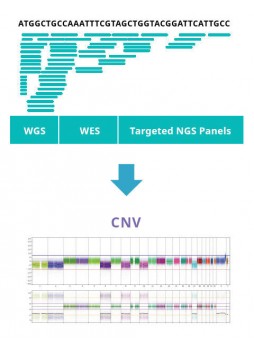 Программное обеспечение для генетики NxClinical