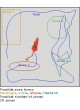 Программное обеспечение для исследований на животных PermaTrack оптом