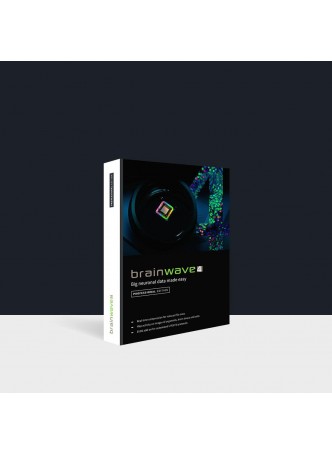 Программное обеспечение для исследований BrainWave 4