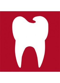 Программное обеспечение для обработки снимков зубов OpticalRevEng Dental 3.0
