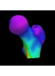 Программное обеспечение для остеоденситометрии 3D-DXA оптом