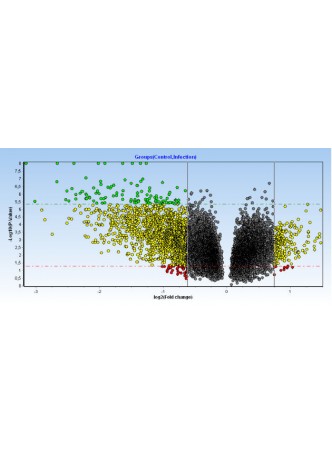 Программное обеспечение для qPCR GenEx™ оптом