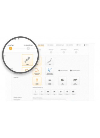 Веб-приложение для генетики DesignStudio оптом