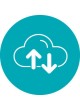 Ветеринарное программное обеспечение Cornerstone оптом