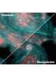 Конфокальная система клеточной визуализации Dragonfly 500