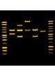 Автоматическая система клеточной визуализации FUSION FX SPECTRA оптом