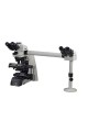 Микроскоп для лабораторий EXC-500 series
