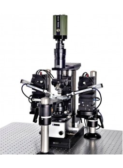 Микроскоп для исследований Scientifica SliceScope Pro 1000