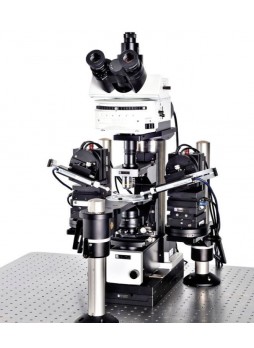 Микроскоп для исследований Scientifica SliceScope Pro 1000