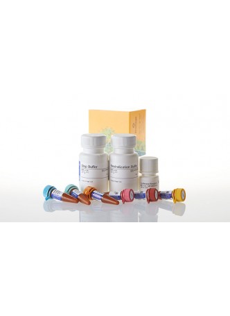 Набор для тестов всасывание глюкозы Glucose Uptake-Glo™