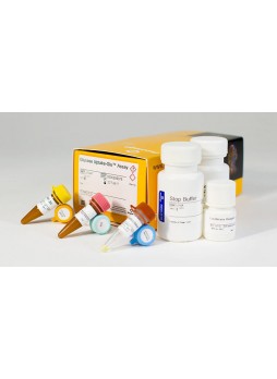 Набор для тестов всасывание глюкозы Glucose Uptake-Glo™