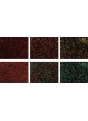 Набор для тестов для исследований EarlyTox Cell Integrity Kit оптом
