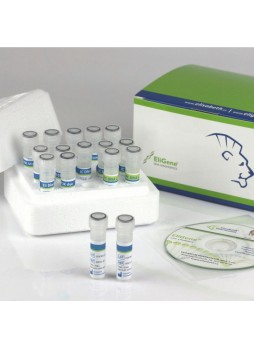 Набор для тестов SARS-COV-2 EG-90077-RT-A
